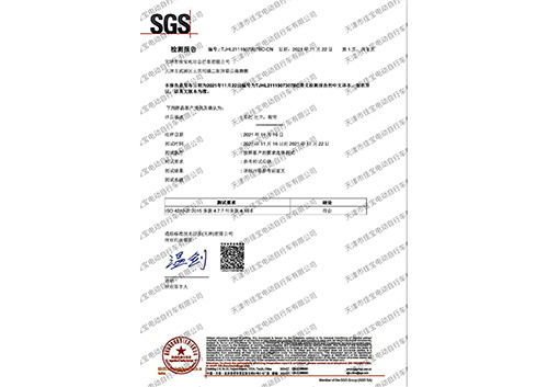 SGS test Chinese version of quality inspection report