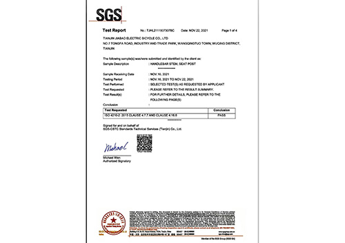 SGS检测英文版 质检报告